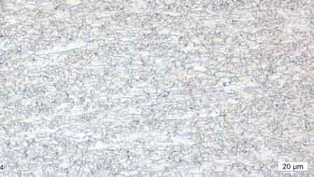 Structure of AcaSal® Picture of the microstructure of AcaSal®
