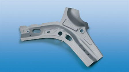 Photo of a complex body part