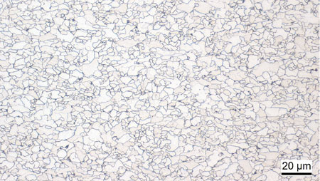 Microstructure of AcaSal®500