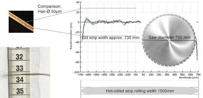 Cross-tolerance comparison Comparison of the diameter of a human hair with the cross-tolerance of between the strip edges