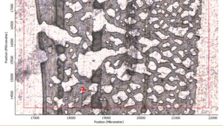 Overview sample Overview sample of a cold strip sample