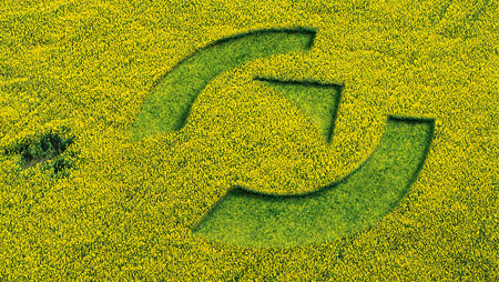 Environment protection Photo environment protection