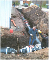 Laying Photo of the laying
