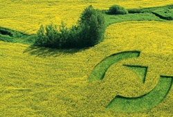 Enviorment protection Picture enviorment protection
